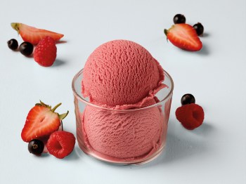 Sorbet lesní ovoce